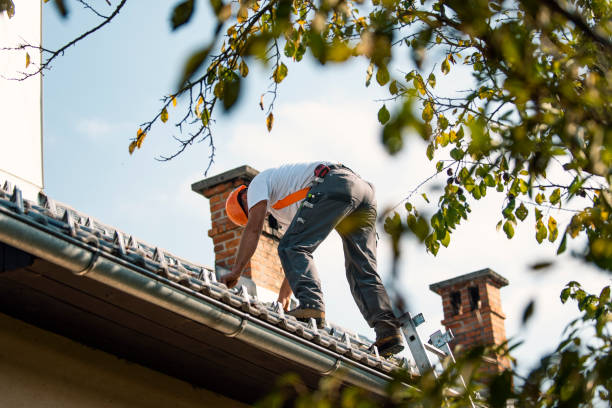 Best Metal Roofing Contractor  in Fort Pierce, FL